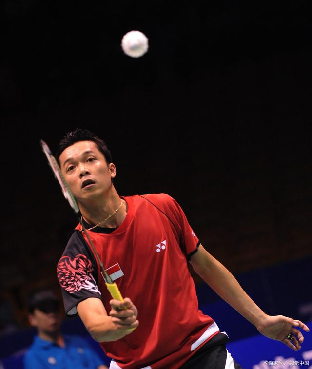 关于法国羽毛球队绝杀印度羽毛球队，陶菲克高光表现的信息