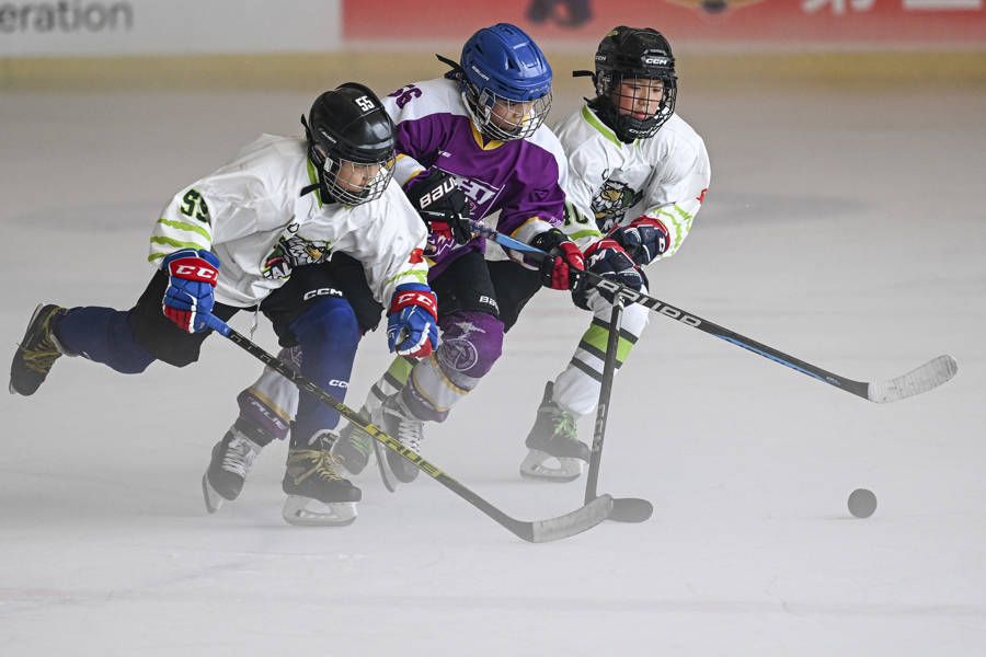 场面火爆！冰球观众席沸腾不已的简单介绍