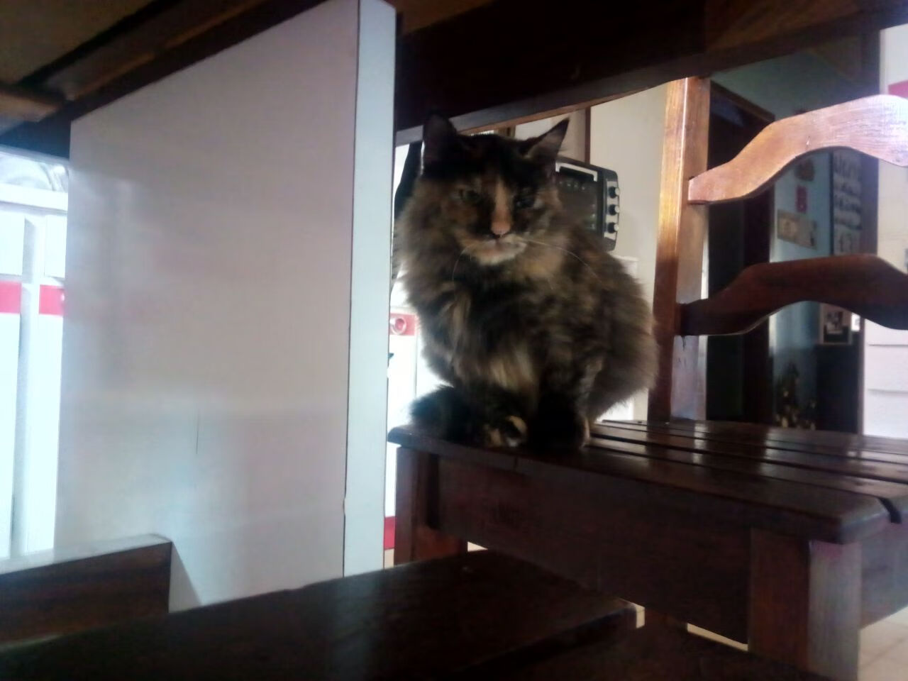 引擎轰鸣与终场蜂鸣，班凯罗制胜一投如何照亮F1揭幕战之夜