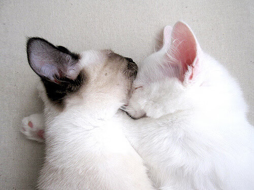 终场前的神之一脚,德布劳内导演逆转,银河战舰惊险碾过迦太基雄鹰