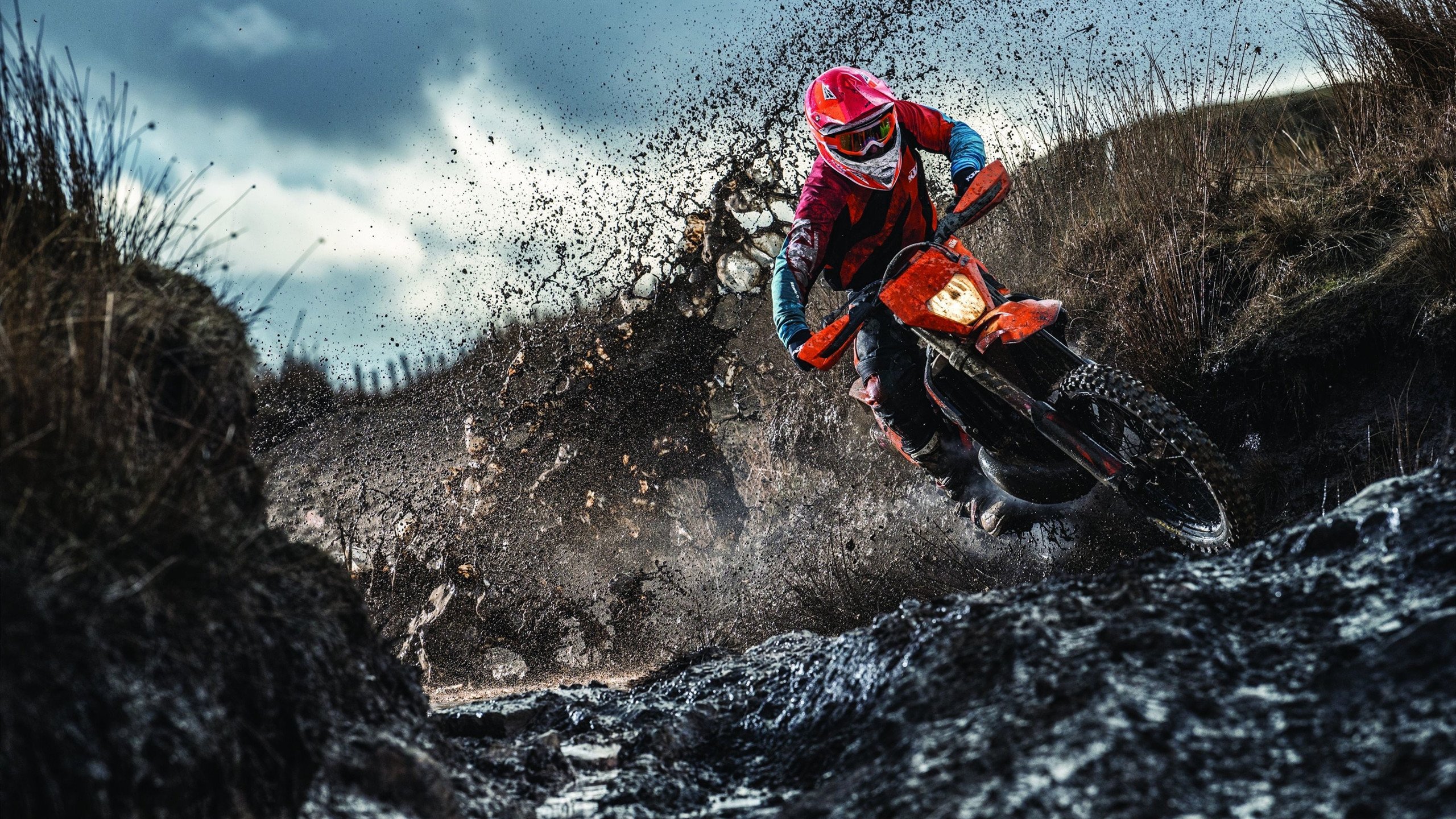 极限的双面，当F1赛道轰鸣与篮球场烽烟相遇