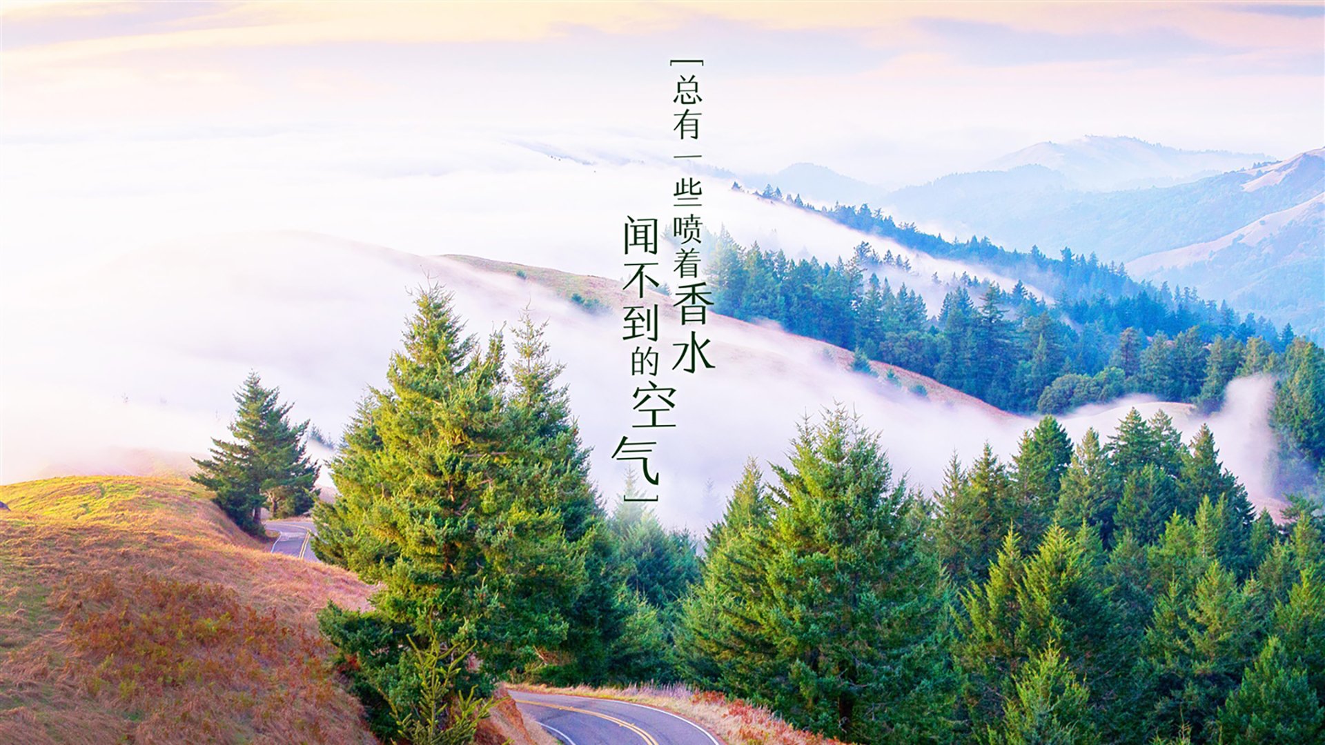 克瓦拉茨赫利亚的疯狂舞步,当格鲁吉亚魔术师撕碎美洲防线