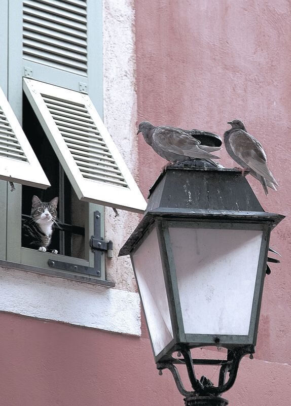 爆冷!开拓者客场掀翻勇士,杰伦·格林30+8成关键先生