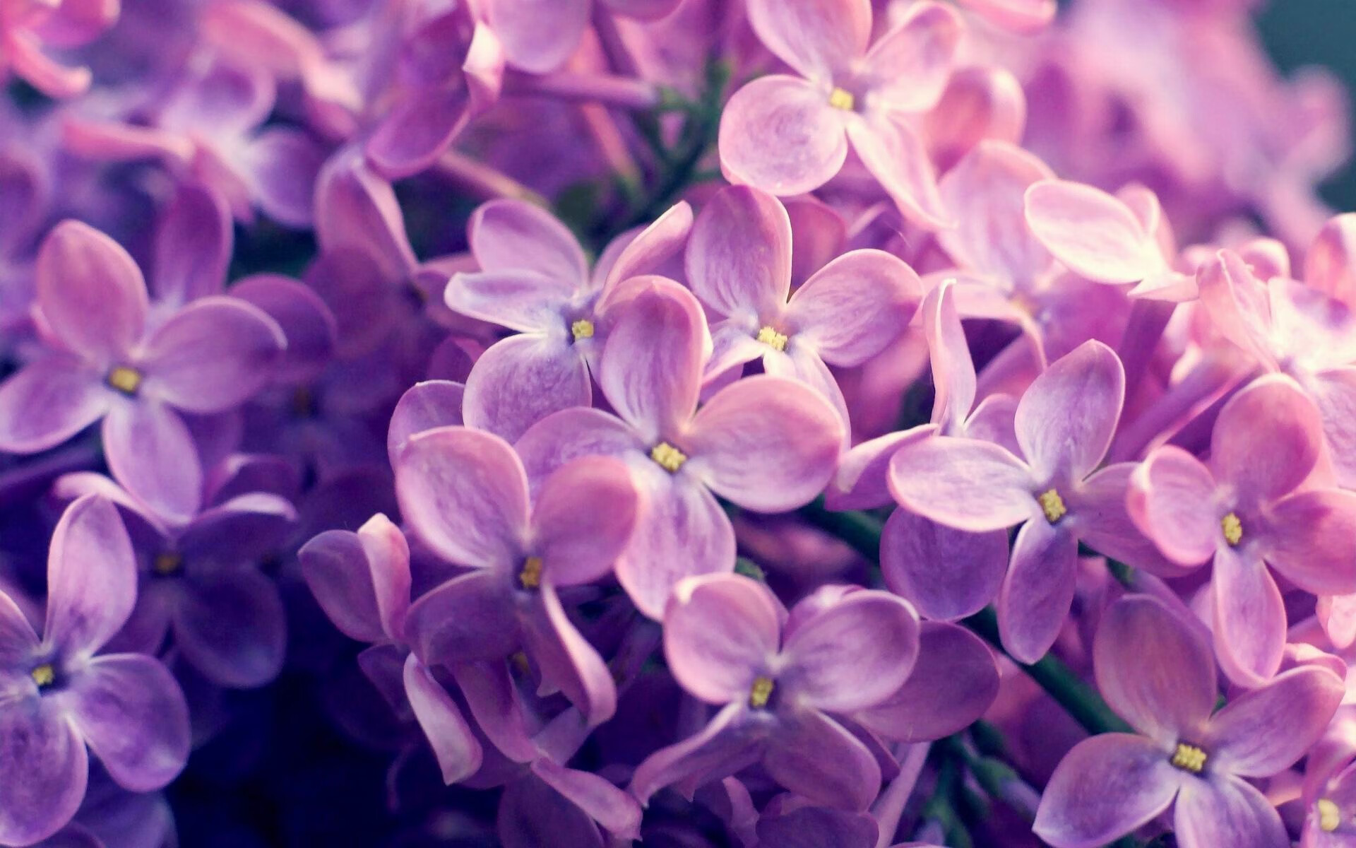 奥利维耶爆发力挽狂澜,莱比锡红牛生死战险胜丹麦劲旅