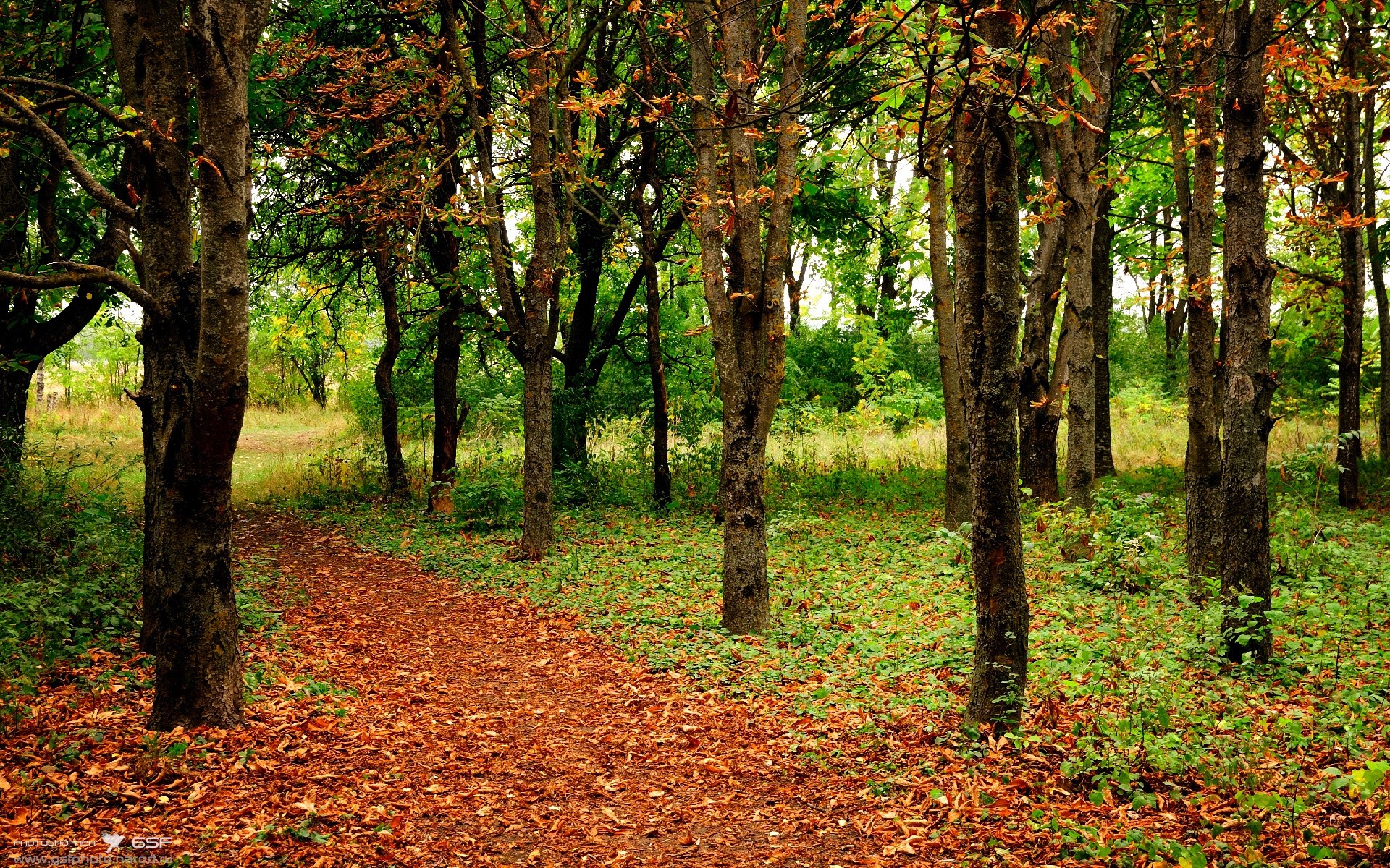 沸腾之夜,从伯纳乌的闪电到费城的逆袭,同一晚诠释竞技体育的永恒魅力
