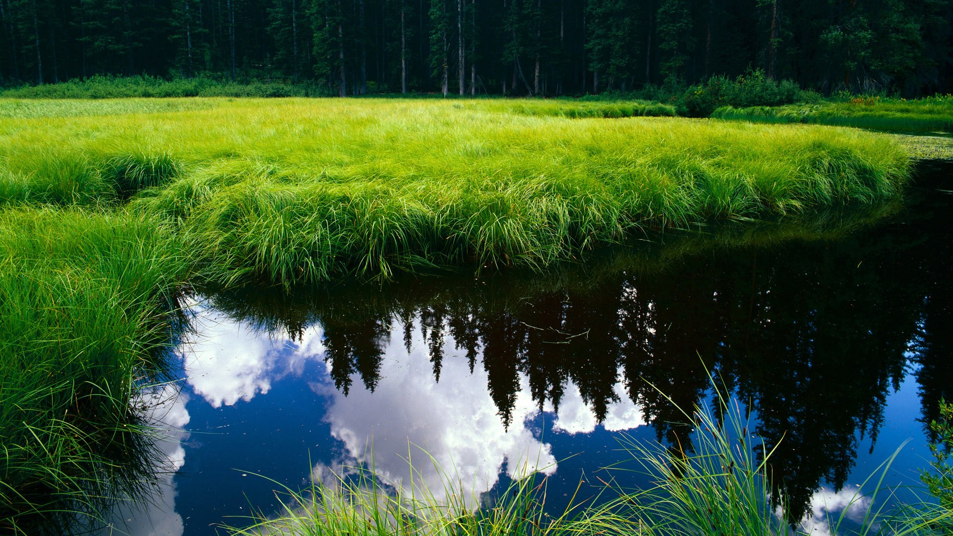 从质疑到主宰,乔治用实力说话,率老鹰力克辽宁