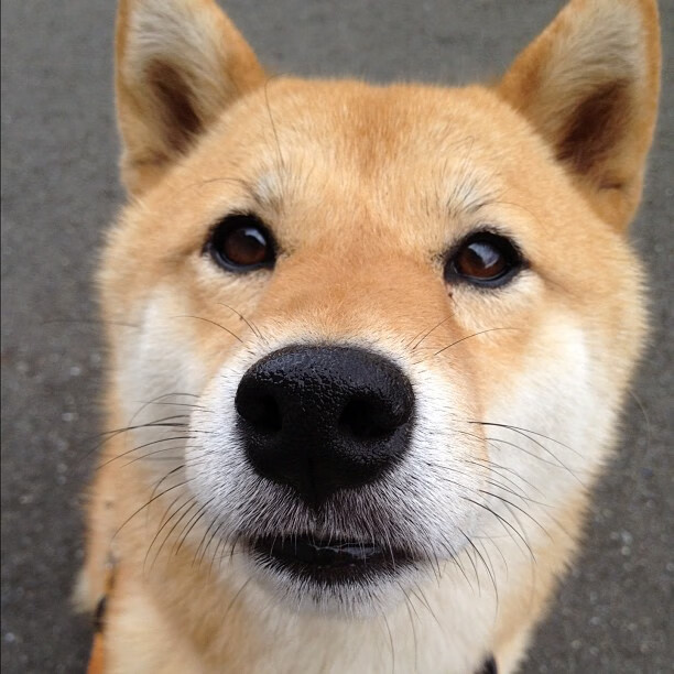 从质疑到主宰,乔治用实力说话,率老鹰力克辽宁