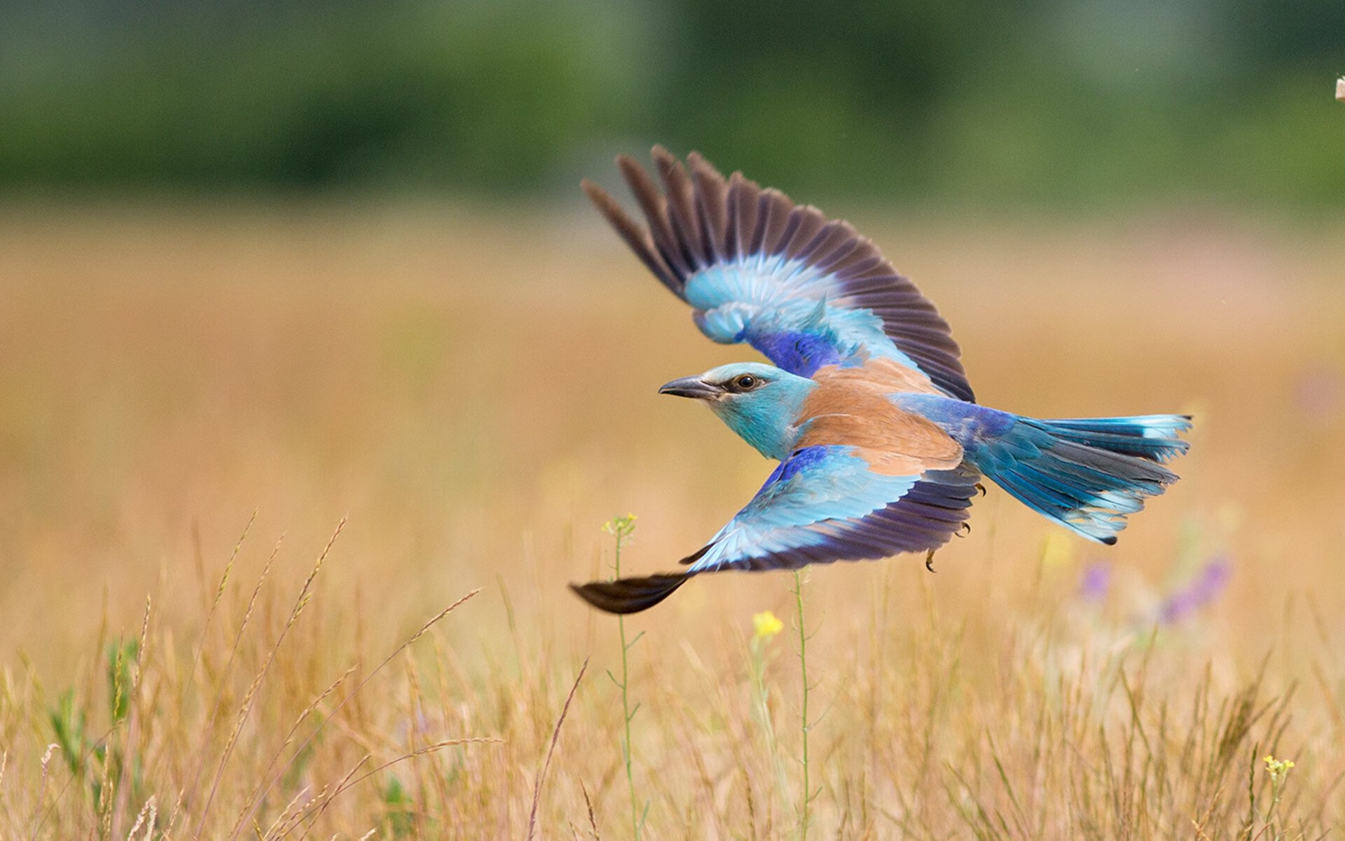 世界排名争夺战之夜,苏亚雷斯进攻端无人可挡