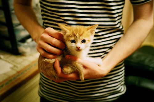 伦纳德关键先生显威,黄蜂稳稳拿下辽宁队