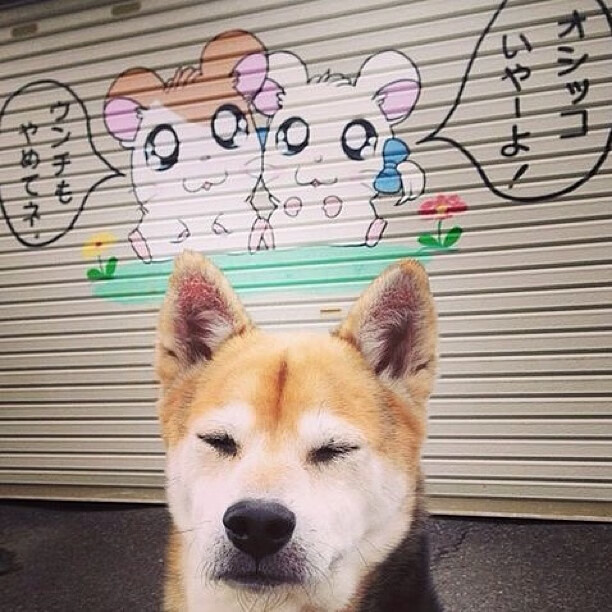 绿茵棋盘的压制与救赎，毕尔巴鄂的战术铁幕与帕尔默的破茧时刻