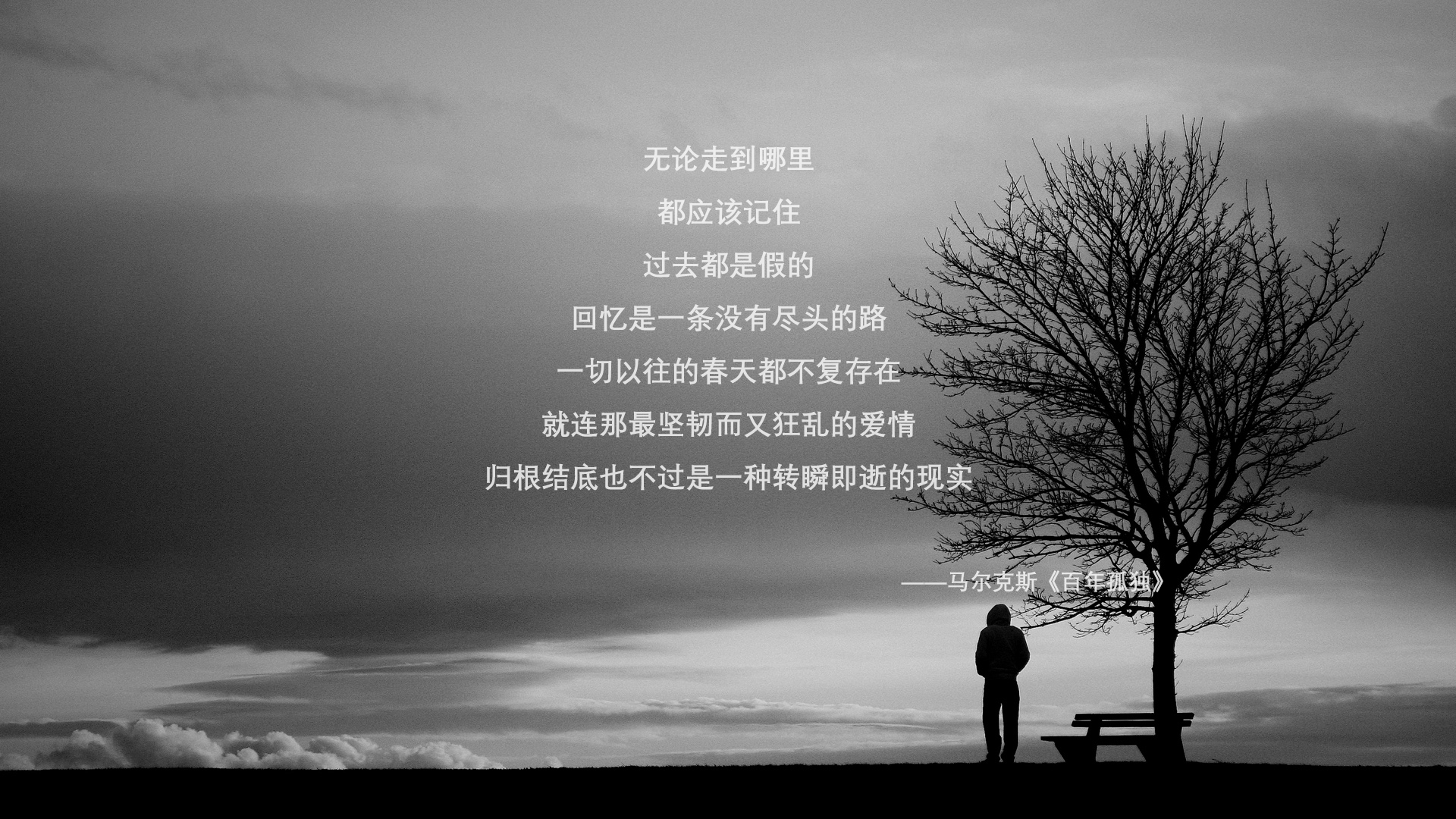 双城对决，西甲国家德比焦点战与湖人力克老鹰的胜利之歌