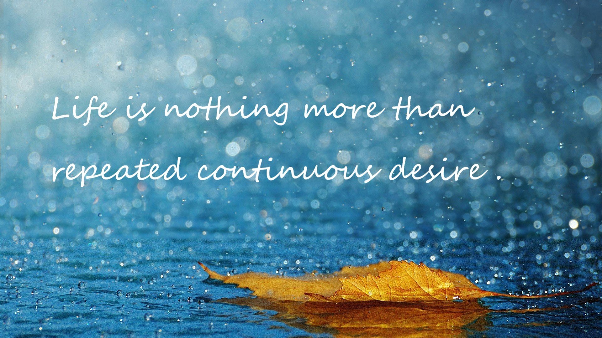 孤星破夜，欧文导演年度焦点之战，率队决胜千里