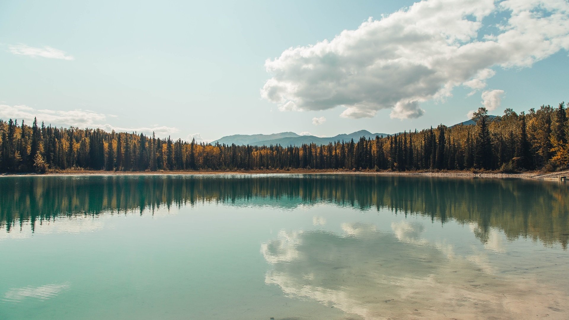 攻防制霸！快船强势击溃魔术，恩比德防守铁幕锁死对手
