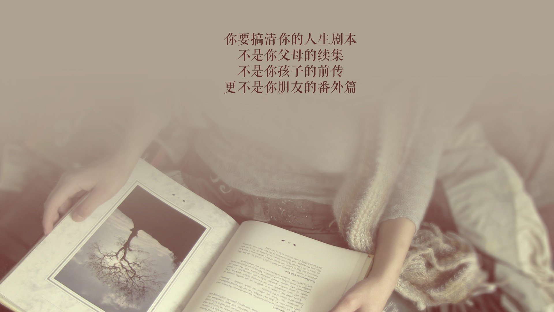 奇迹之夜,伊朗钢铁防线击穿越南,托纳利致命一击点燃2026世界杯G组战火