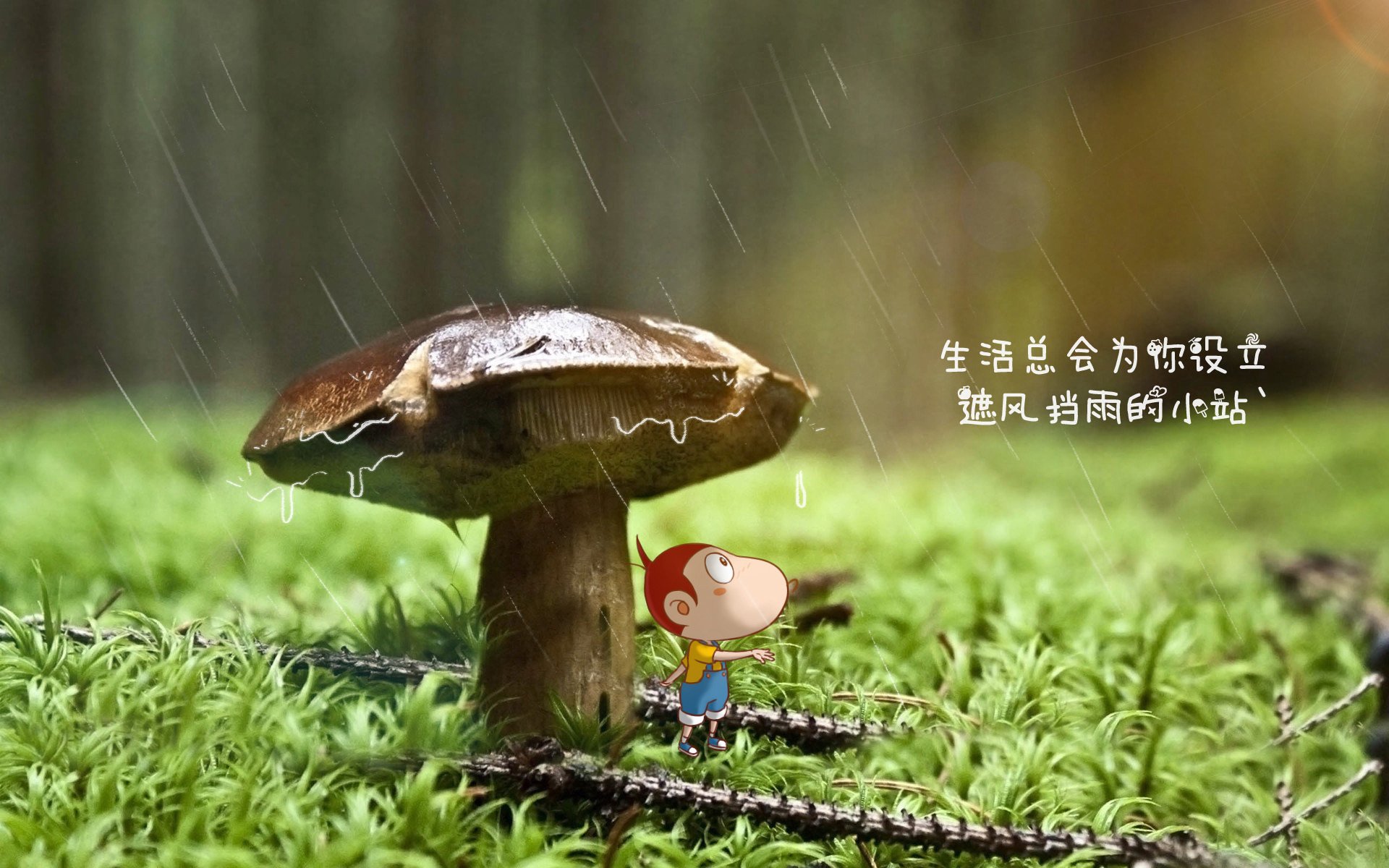 费利克斯独造三球,厄瓜多尔完胜保加利亚点燃2026世界杯焦点战