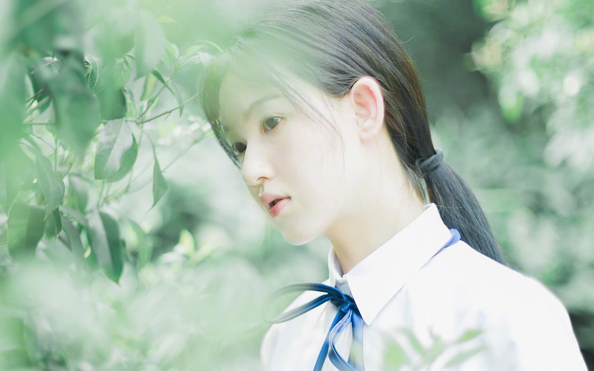 沙漠风暴席卷郁金香,2026世界杯B组沙特完胜荷兰,布罗佐维奇演绎中场大师课