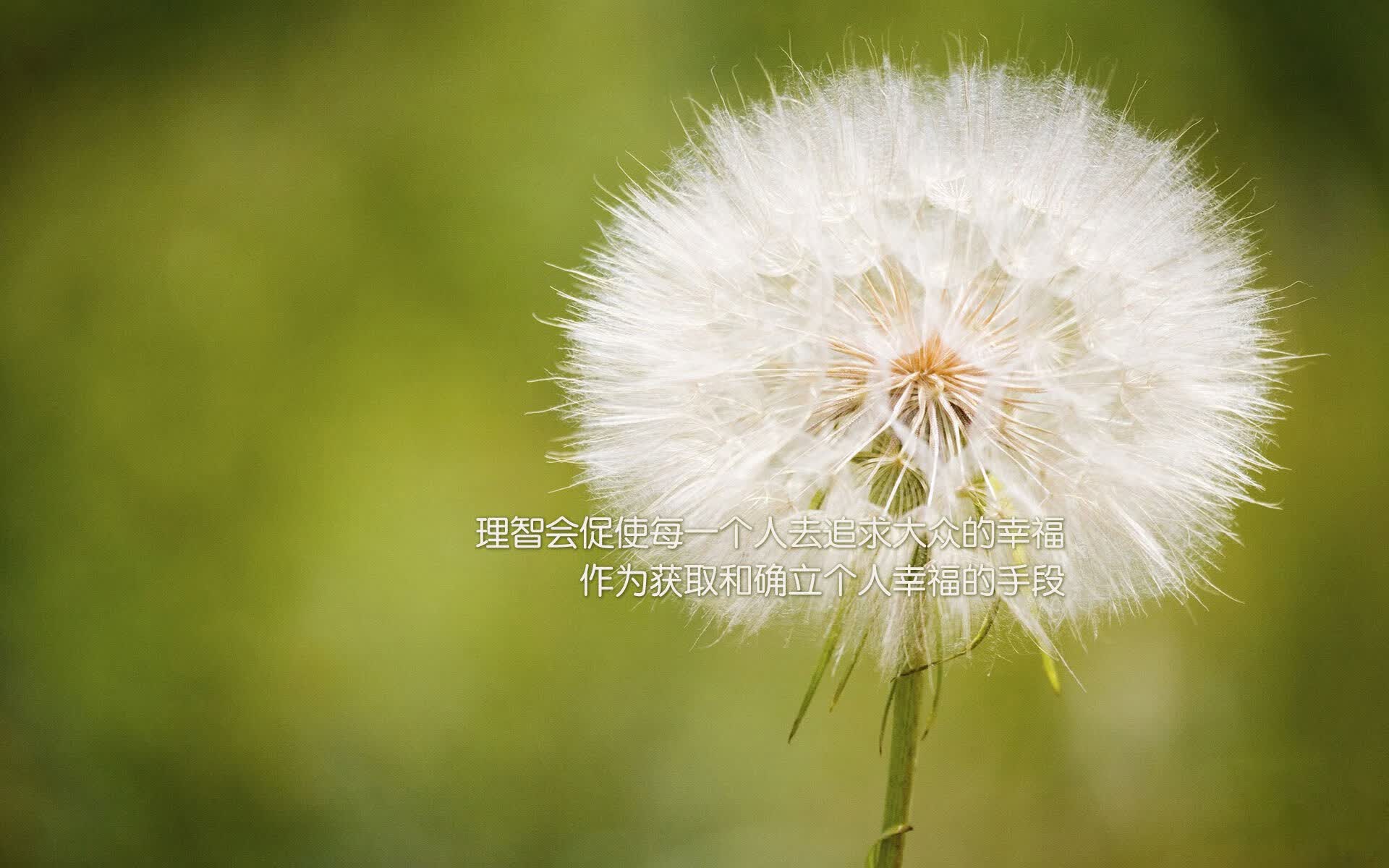 寒冰刺穿桑巴舞—2026世界杯B组冷门之夜,加拿大横扫巴西,布罗佐维奇中场封神